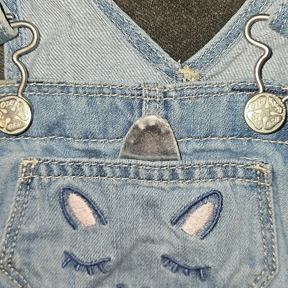 OshKosh B'gosh Blue and Pink Tulle Unicorn Overalls